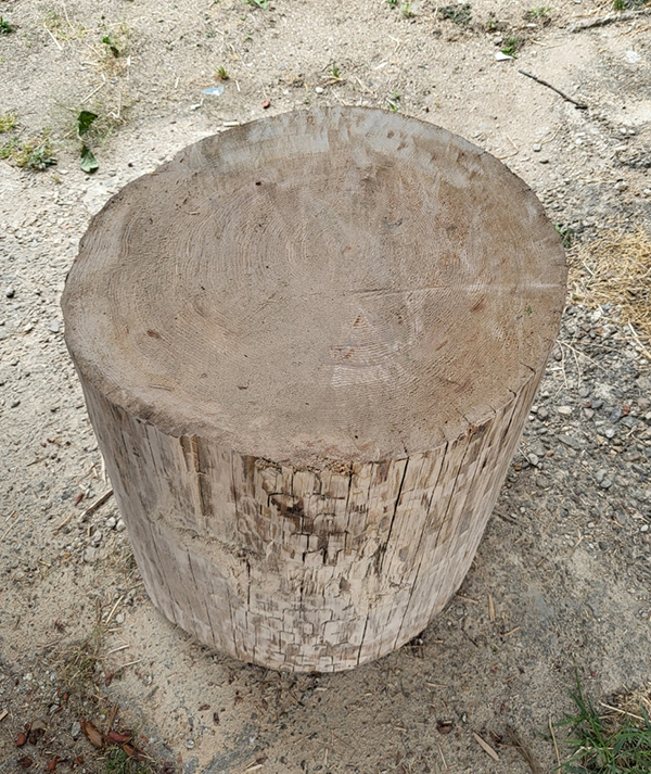 나무 모루목 60*70